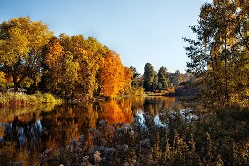 gelsenkirchen bosco gelsenkirchen bosco